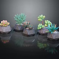 Colorful Succulent Plants In Geometric Stone Pots With Dark Background Reflections