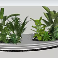 Assorted Lush Green Plants Arrangement On Circular Platform With Tropical Leaves