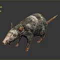 Detailed 3D Render of Gray Black Rat with Red Ears Claws Tail and Blue Eyes