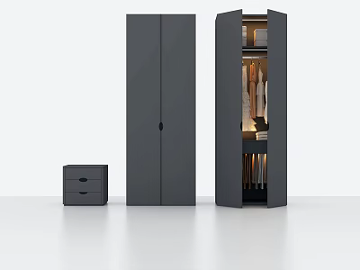 Modern Minimalist Double Door Wardrobe With Hanging Clothes Shelves And Small Drawer Cabinet 3d model
