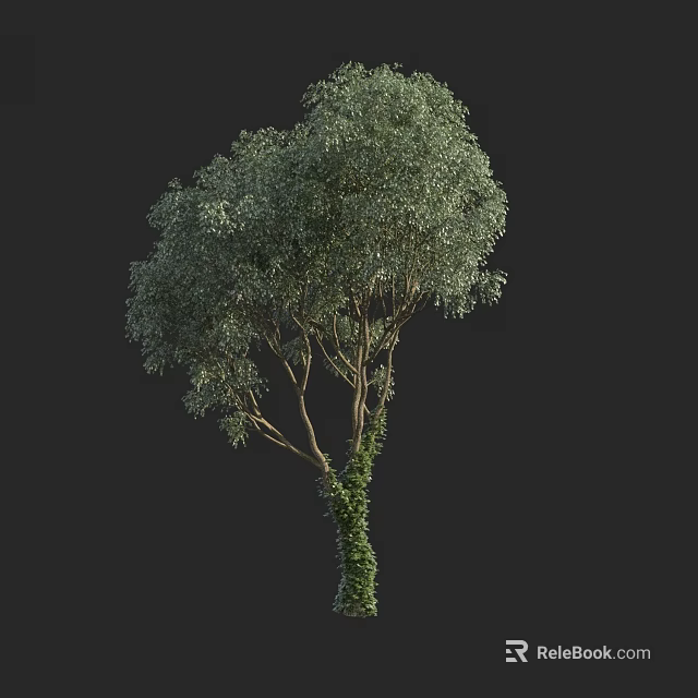 Lush Green Leafy Arbor With Ivy Covered Trunk And Dense Canopy 3d model