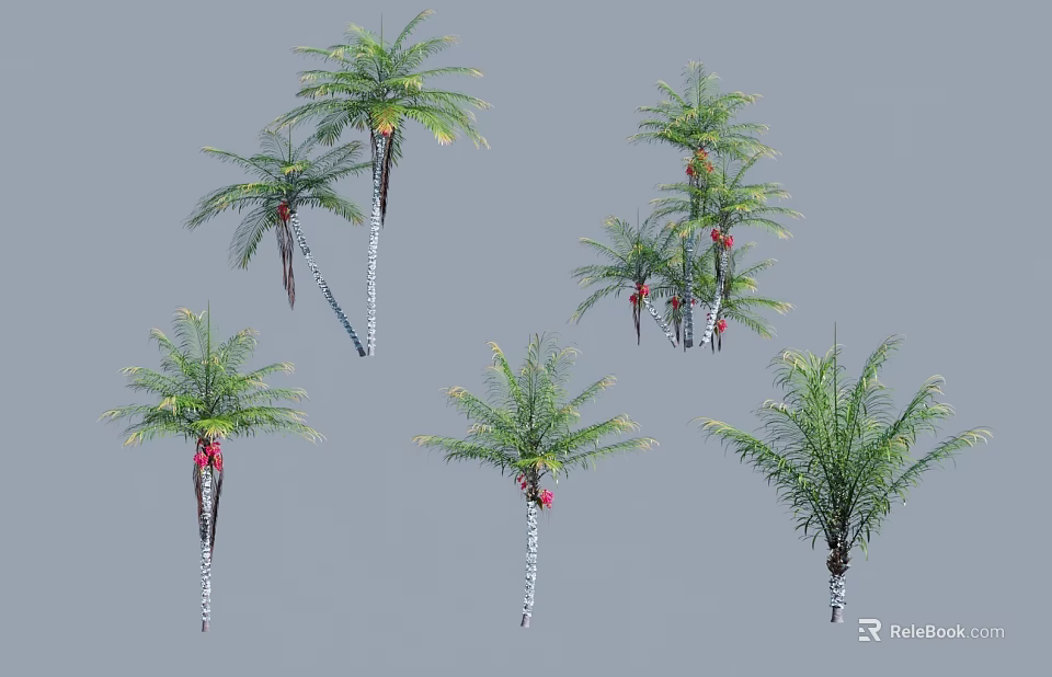 Palm Trees With Various Trunk Styles Fronds And Red Fruits In Landscape Design 3d model 