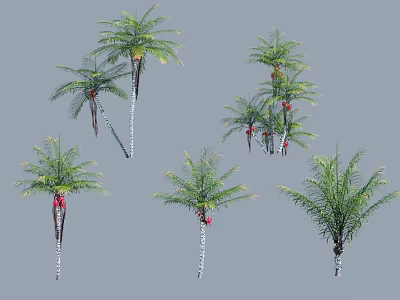 Palm Trees With Various Trunk Styles Fronds And Red Fruits In Landscape Design 3d model
