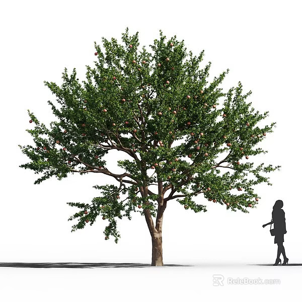 Lush Green Tree Bearing Fruits With A Silhouette In Natural Setting 3d model 