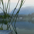 The Modern Lake 3d model