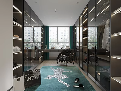 Modern Walk in Closet Interior Design With Glass Doors Mirrored Cabinets And Green Rug 3d model