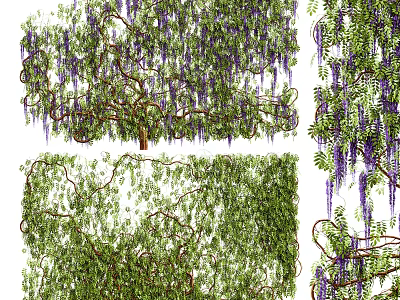 Lush Natural Vines with Green Leaves Purple Flowers and Twisted Branches 3d model