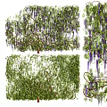 Lush Natural Vines with Green Leaves Purple Flowers and Twisted Branches