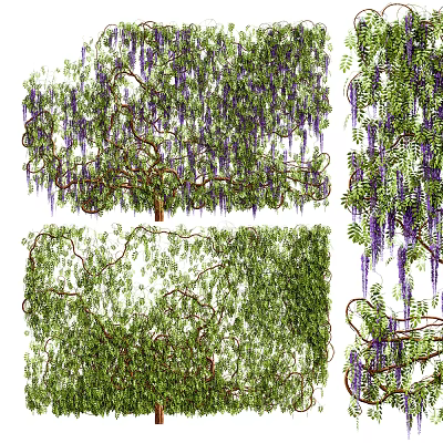 Lush Natural Vines with Green Leaves Purple Flowers and Twisted Branches 3d model