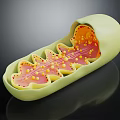 3D Model of Organelle with Light Green Outer Layer Pink Inner Structure and Yellow Particles