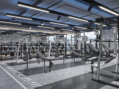 Modern Spacious Fitness Gym With Barbells Dumbbells Training Benches And Workout Equipment 3d model