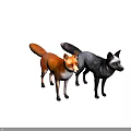 Realistic Orange Fox and Gray Wolf Standing Together on White Background 3d model