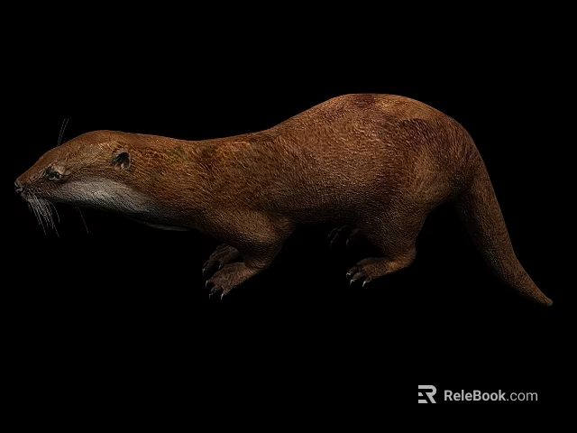 Realistic Reptile 3D Model Featuring Brown Scales White Belly On Black Background 3d model 