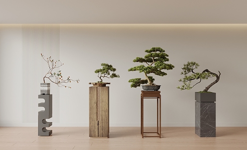 New Chinese Bonsai Pine Bonsai 3d model