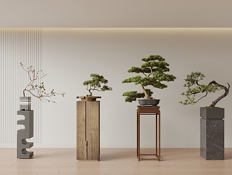 New Chinese Bonsai Pine Bonsai 3d model