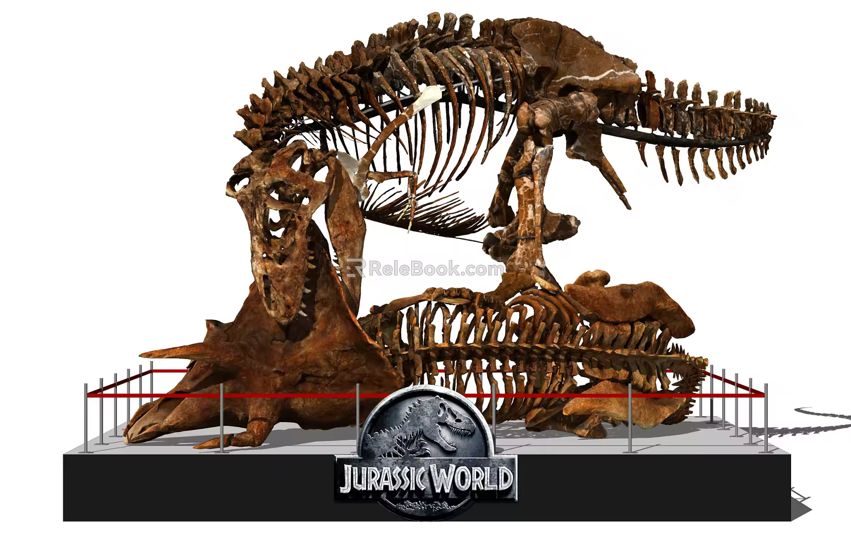 Modern Dinosaur Fossil Museum Skeleton 3d model
