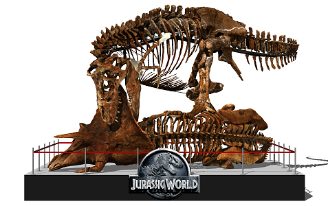 Modern Dinosaur Fossil Museum Skeleton 3d model