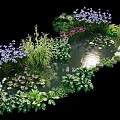 Aquatic Plants in Pond with Green Foliage Purple Pink Flowers and Stones