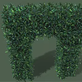 Green Plant Archway With Lush Foliage For Garden Decoration Design