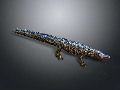 Crocodile Alligator Nile Crocodile carnivore reptile cold-blooded reptile reptile game animal 3d model