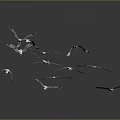 Flock of Seagulls Flying in Dynamic Formation Against Gray Background