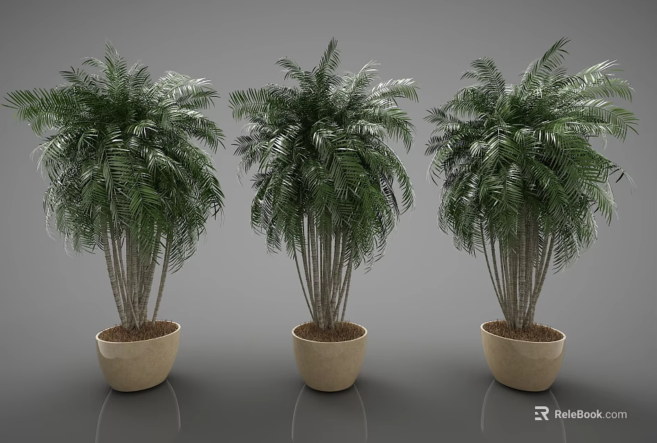 Three Palm Tree Potted Plants With Beige Pots In Indoor 3d model