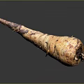 Freshly Harvested Root Vegetable With Soil And Small Green Shoots On Dark Reflective Background