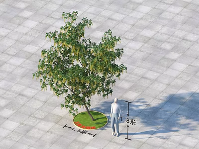 Tall Arbor With 8.5 Meters Height On Square Paved Ground And Circular Lawn 3d model