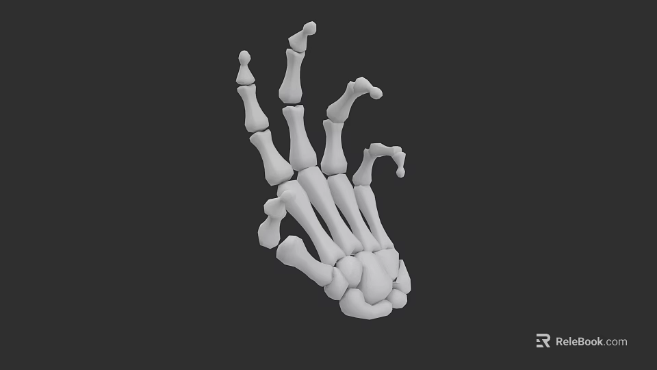 3D Model of Human Hand Bones Showing Anatomical Structure and Detailed Joints 3d model 