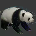 Realistic 3D Panda Model With Black And White Fur Standing Pose 3d model