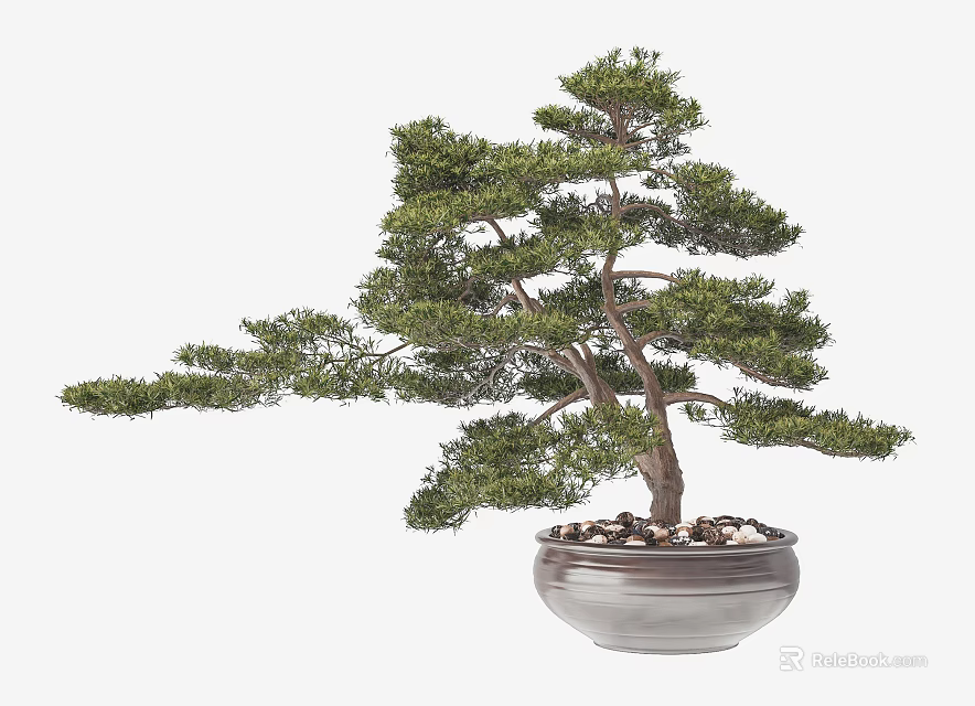 Lush Bonsai Tree with Twisted Trunk in Ceramic Pot and Decorative Pebbles 3d model 
