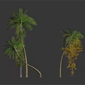 Various Types of Decorative Plants Including Palm Trees and Pine with Green Leaves