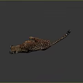 Cheetah With Spotted Coat Running In Dynamic Pose On Gray Background