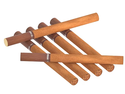Handmade Premium Cigars As Living Supplies With Natural Brown Smooth Rolled Texture 3d model
