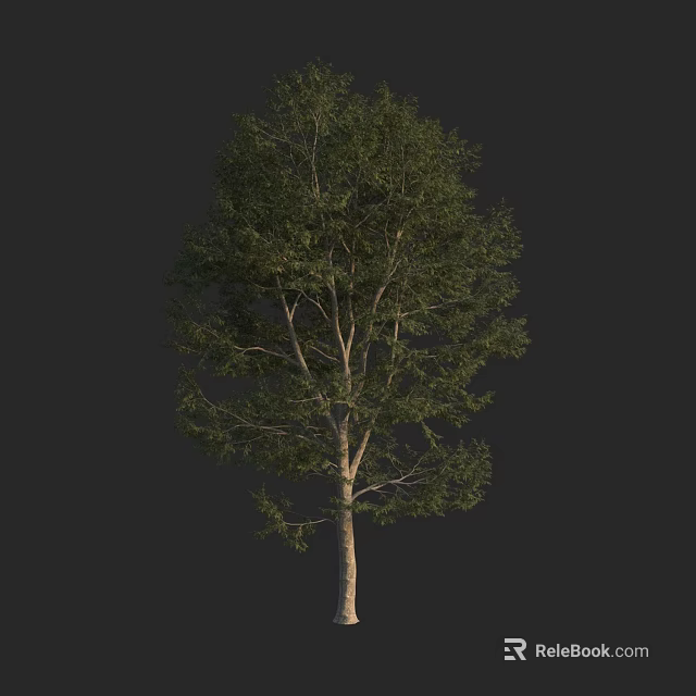 Lush Green Arbor With Dense Foliage And Strong Trunk In Natural Setting 3d model 