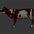 Brown And White 3D Model Cow Standing With Horns On Gray Background