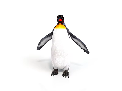 Standing Penguin With Black And White Feathers Orange Beak Isolated On White Background 3d model