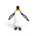 Standing Penguin With Black And White Feathers Orange Beak Isolated On White Background
