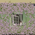 Lush Purple Flower Vines Covering Green Wall With White Window Frame