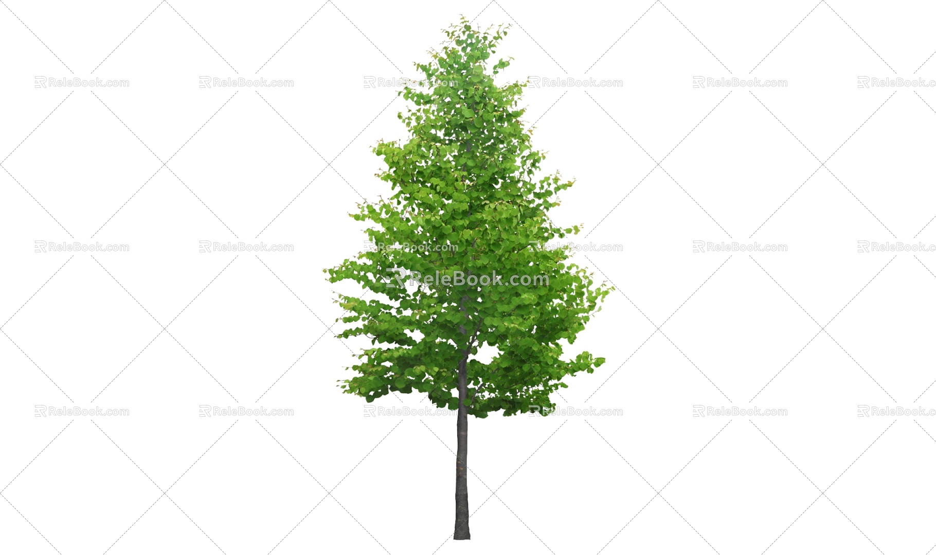 Tree 3d model