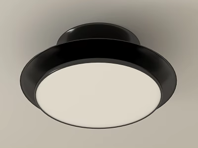 Modern Round Flush Mount Ceiling Light With Black Frame And White Panel 3d model