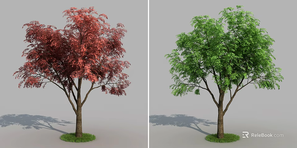 Two Arbor Trees with Red and Green Leaves Standing on Green Grass with Shadows 3d model 