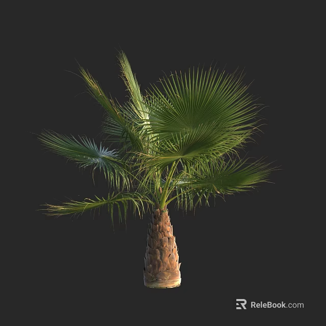 Lush Palm Tree With Green Fronds And Brown Trunk In Black Background 3d model 