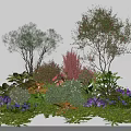 Diverse Colorful Garden Shrubs With Green Foliage And Purple Flowers