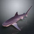Striped Purple Shark 3D Rendered Full Body View On Gray Background