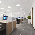 Modern Public Office Space Interior With Cubicles Computers Desks Chairs Ceiling Lights And Potted Plant