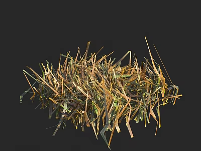 Wild Grass with Green Yellow and Brown Blades in Natural Growth 3d model