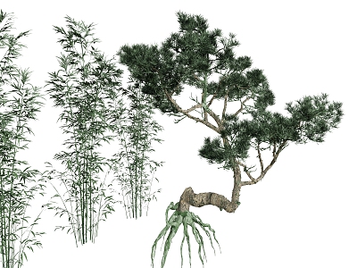 Pine Outdoor Tree Pohan Pine Bamboo 3d model