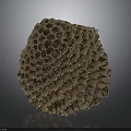 Bees Honeycomb Nest With Rounded Textured Structure On Dark Background