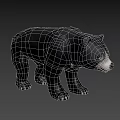 Realistic Black Bear 3D Model With Standing Posture And Detailed Fur 3d model